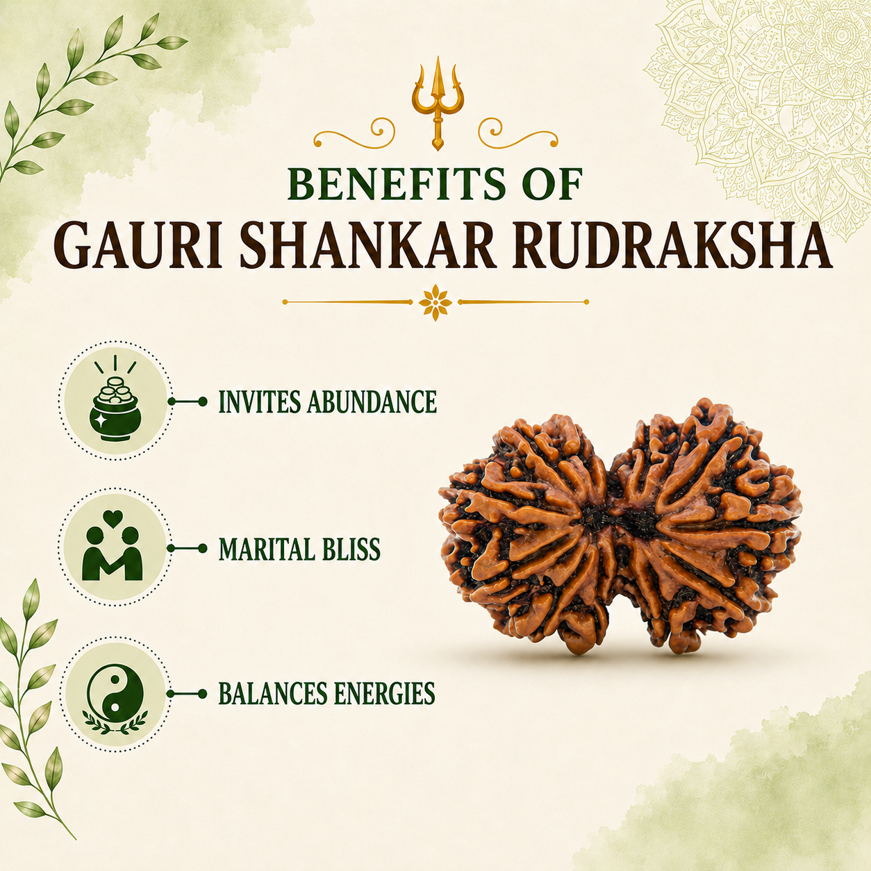 Gauri Shankar Rudraksha (Nepal Origin)